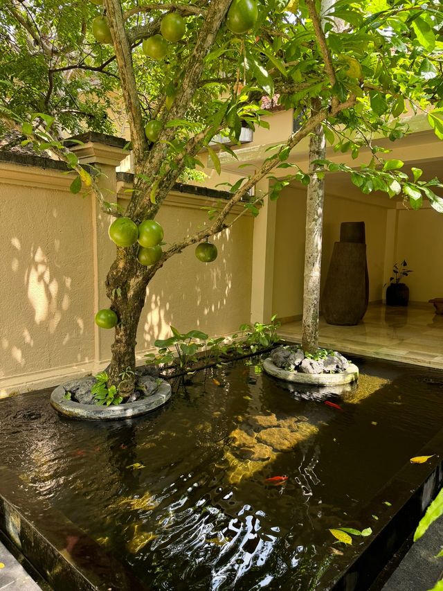 烏布的隱秘天堂 | Ubud Hidden Paradise   酒店：烏布坦加裕達考曼卡酒店 
