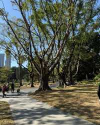 人民公園：邂逅愜意，暢享休閒時光