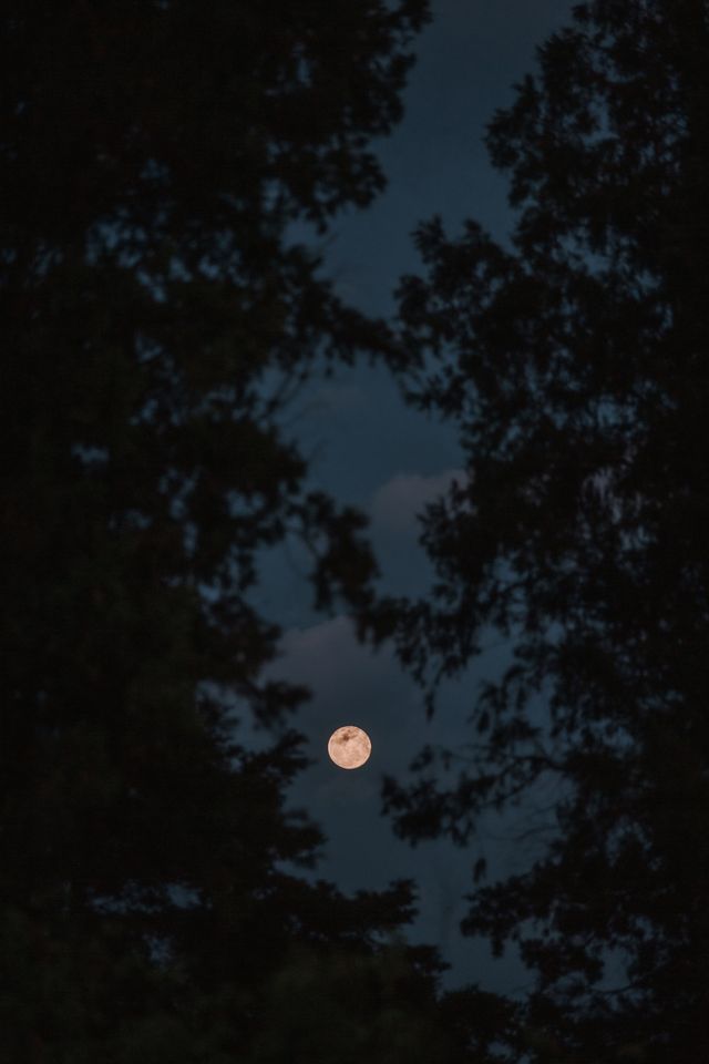 玩轉雲南墨江，探秘北回歸線上的哈尼秘境