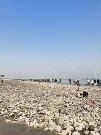 自駕天津東疆親海公園，帶娃看海鷗