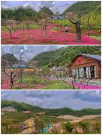 鄉村旅遊和道教文化為主～襄陽黃龍觀風景區