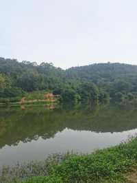 廣東佛山南國桃園|隱藏在佛山南海的『世外桃源』