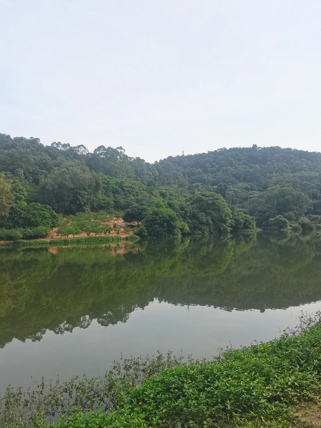 廣東佛山南國桃園|隱藏在佛山南海的『世外桃源』