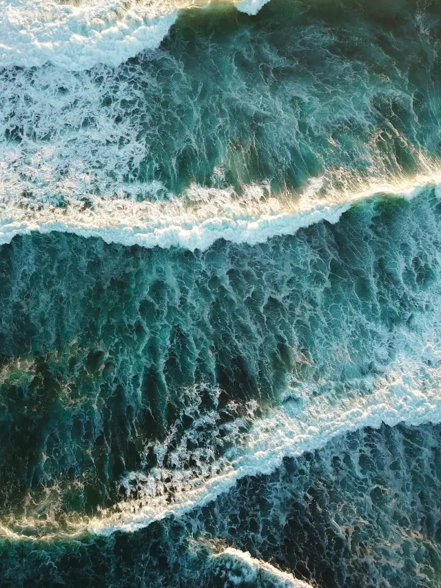 Lunar New Year in Australia: 4-Day Itinerary