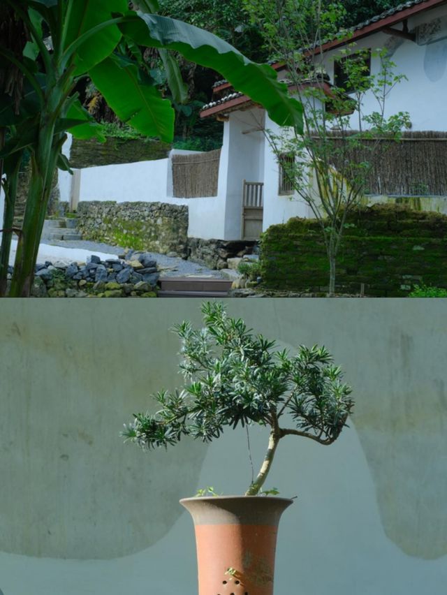 又發現一處廣西秘境 | 河池小長安
