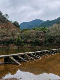 鼎湖峰 這裡有「天下第一筍」 還可以看軒轅祭典哦