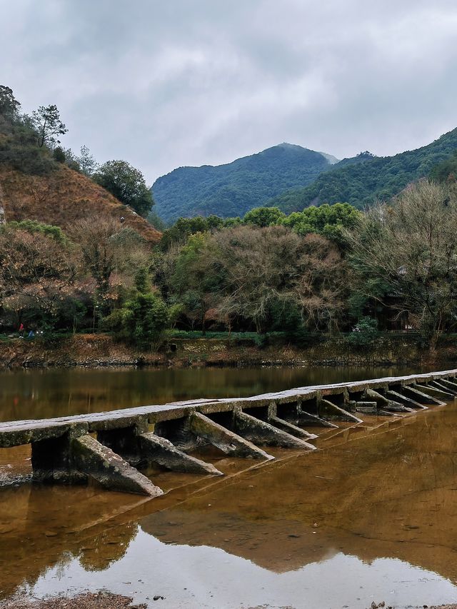 鼎湖峰 這裡有「天下第一筍」 還可以看軒轅祭典哦