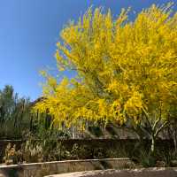 Exploring Phoenix Zoo and Desert Botanical Garden