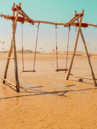 Ocean Wonders of the Western Sahara Desert