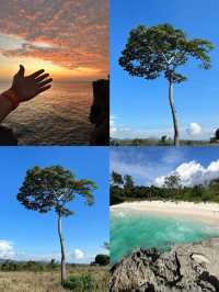 印尼松巴島：遺世而獨立的南洋瑰寶
