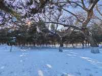 歷史與自然於此完美交融~~東陵公園