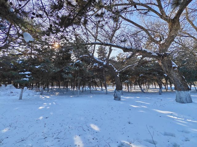 歷史與自然於此完美交融~~東陵公園