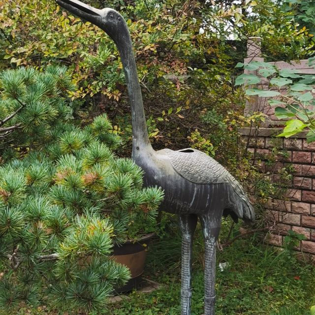天香公園｜解鎖城市綠野仙蹤｜邂逅自然浪漫