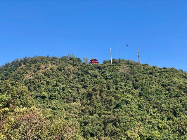 深圳登山-塘朗山（五）