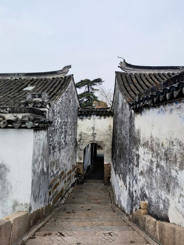 因為一首《江南》便來到了這座千年古鎮