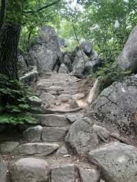走進大邱桐華寺｜感受寧靜與祥和
