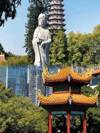 福州Citywalk|於鬧市中尋一片寧靜禪境!
