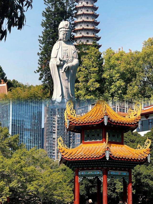 福州Citywalk|於鬧市中尋一片寧靜禪境! 福州Citywalk|於鬧市中尋一片寧靜禪境!