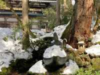 永平寺：一場穿越時光嘅禪意修行
