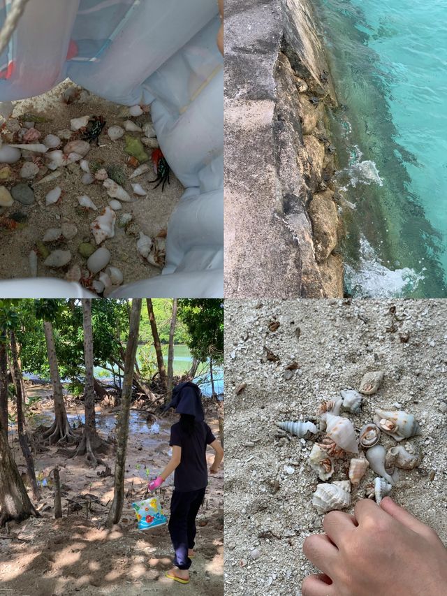 呼拉島：藏喺大海深處嘅夢幻之境