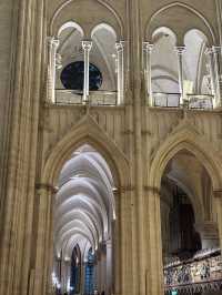 Notre-Dame Cathedral Reopens with Changes