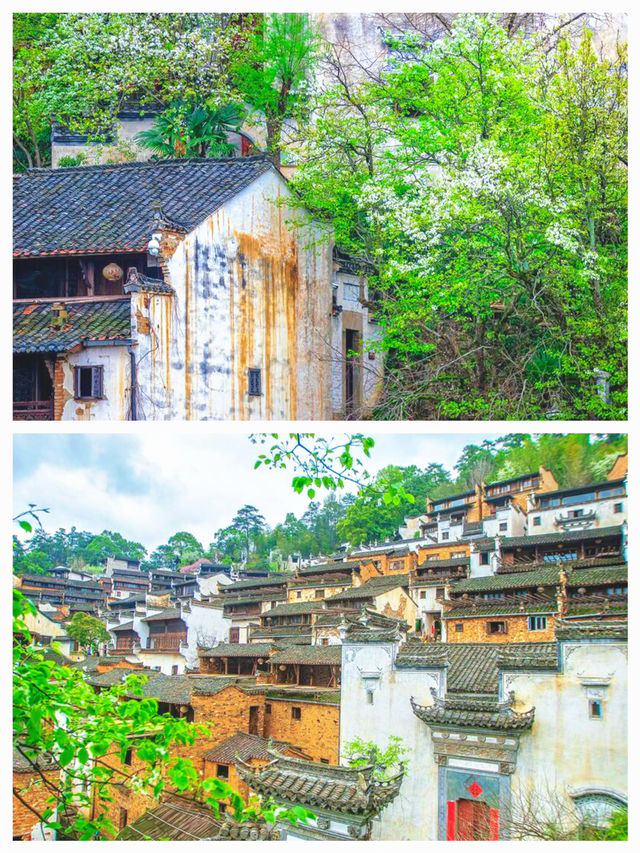被《國家地理》封神嘅婺源篁嶺，春天真係靚到喊