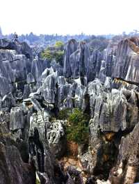 昆明-大理市-麗江8日親子遊 超詳細攻略來襲