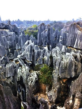 Kunming-Dali-Lijiang 8-Day Family Tour: A Super Detailed Guide