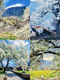 3-4月旅行天花板，美得像墜落凡間的畫。