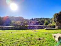 The Ancient Agora of Athens: A Morning Walk Through History ☀️🏛️