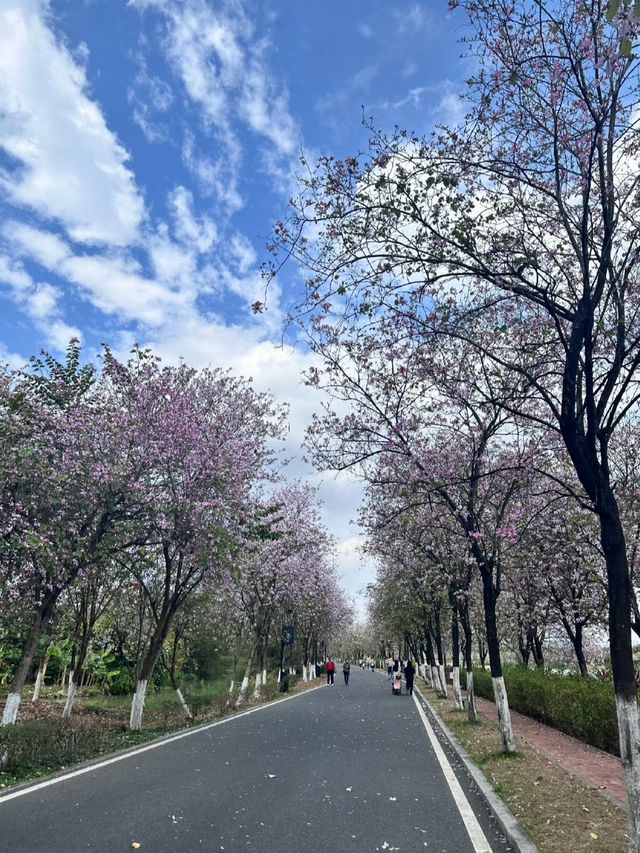 海珠濕地公園剛回來，說一些大實話