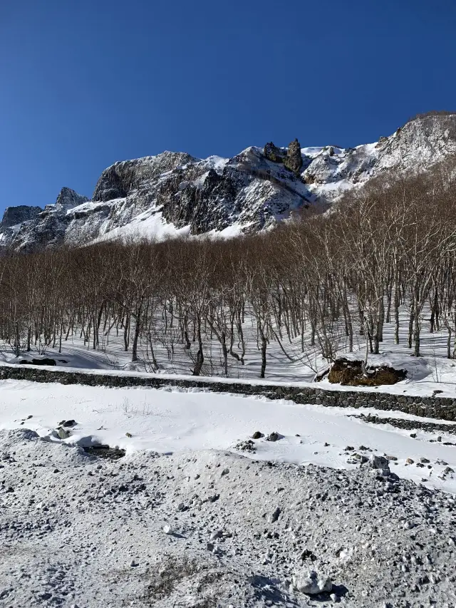 Qingming Short Holiday: Changchun-Changbai Mountain-Yanji Travel Guide Revealed