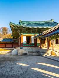 5天赴韓國 帶你愛上獨特風情