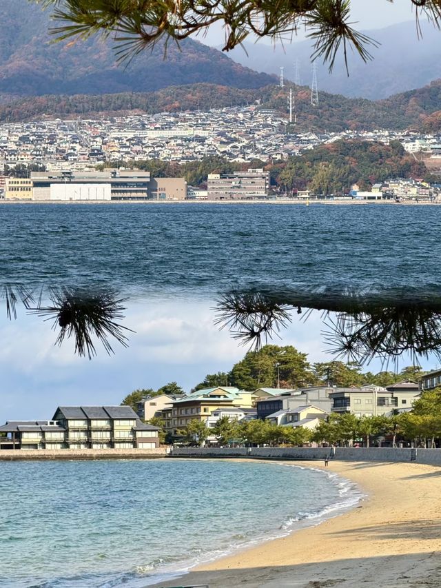 廣島嚴島神社︱邂逅海上鳥居的夢幻之境