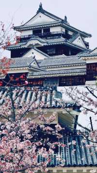 跟隨千與千尋去旅行吧