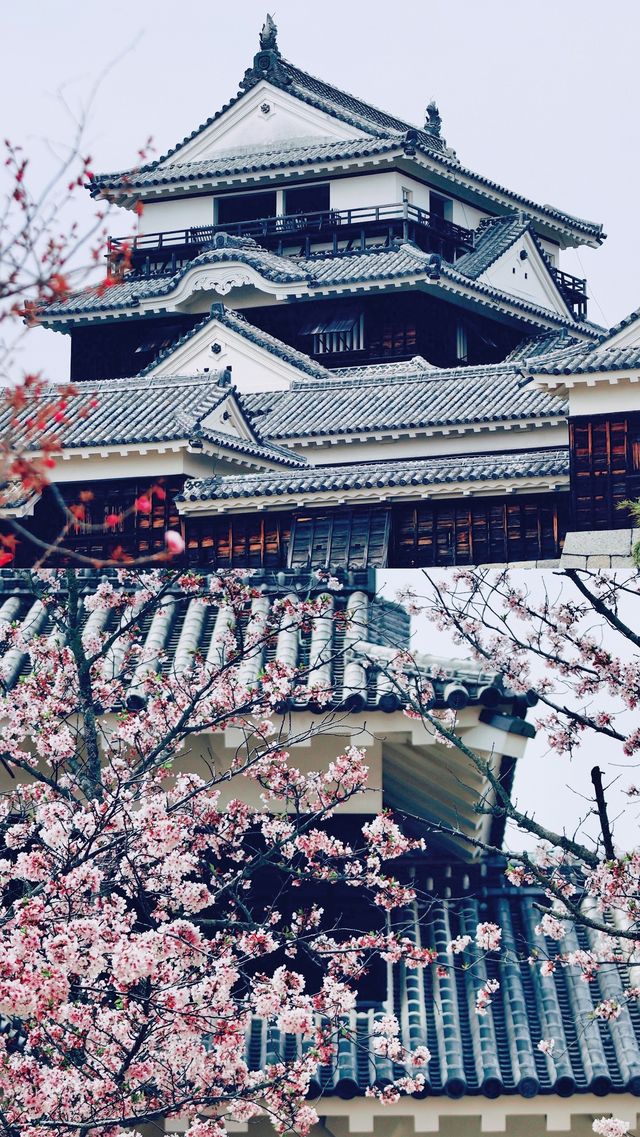 跟隨千與千尋去旅行吧