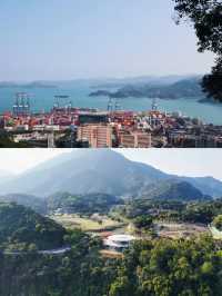 🌸鹽田限定！恩上濕地格桑花海，美到失語