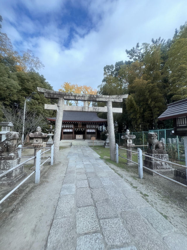 大阪必訪✨ 隱藏版神祕鳥居大社