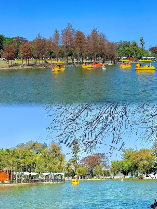 春日邂逅：探秘珠海嘅莫奈花園——海濱公園