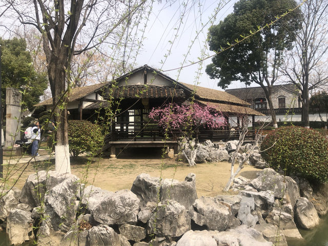 南京｜胡家花園裡的金陵春天