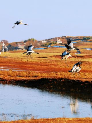 6-Day Qingming Festival Trip to Zhaotong: A Comprehensive Guide