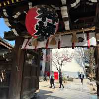 福冈 | 櫛田神社🌸 春日限定浪漫