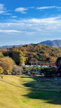 3-4月必打卡韓國清州全程不踩坑攻略