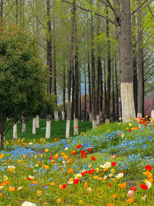 4月必打卡免費公園賞花拍照📸