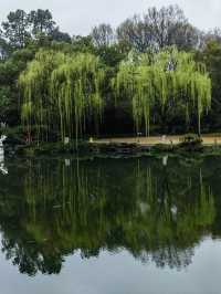 春日嘅淨慈寺