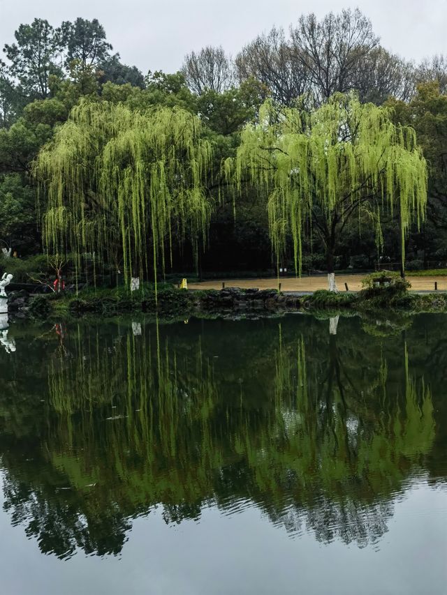 春日嘅淨慈寺