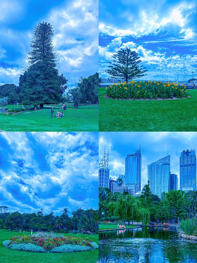 悉尼歌劇院的日出日落，到底有多絕？