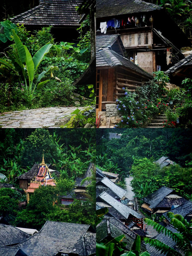 為何眾多遊客選擇景邁山