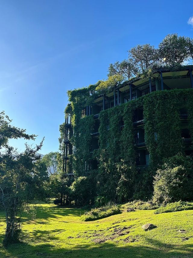 斯里蘭卡，住進世界遺產裏的“消失的建築”。