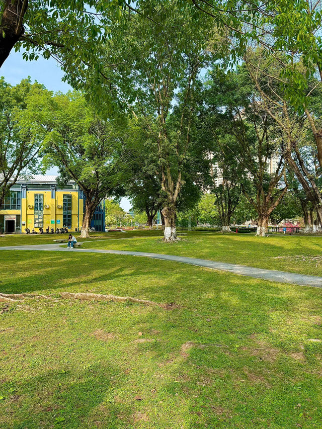 岐江公園野餐，邂逅悠然時光